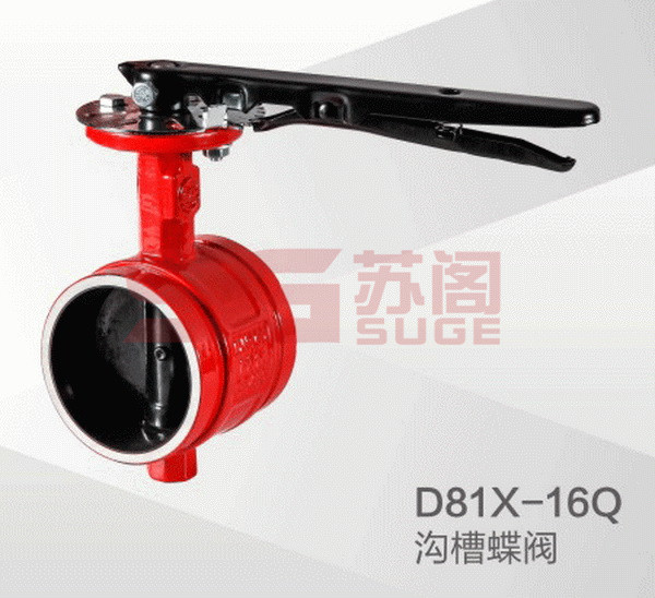 ����ϵ��