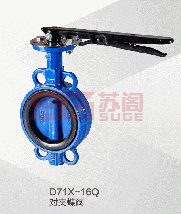 ����ϵ��